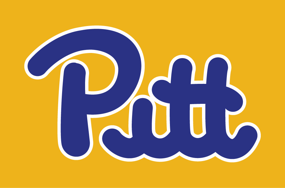 Pittsburgh Panthers 1973-1996 Wordmark Logo iron on transfers for fabric